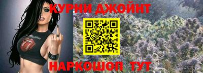 прущие грибы Новозыбков