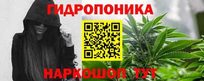 гидра Новокубанск