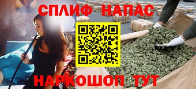 прущие грибы Новозыбков